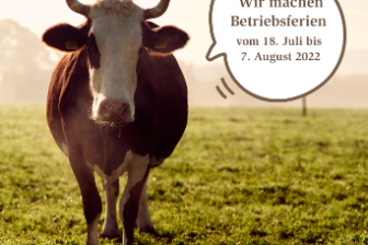 Kuh auf einer Weide mit Sprechblase, in der die Käserei Studer auf die Betriebsferien hinweist.